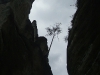 dscf2785 dscf2785