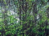 k5ds0156_mniejszy k5ds0156_mniejszy
